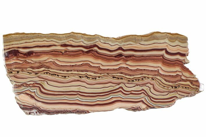 Polished Slab Of Rolling Hills Dolomite - Mexico #315630